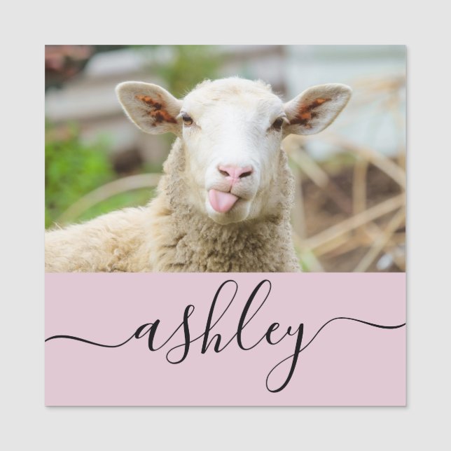 Porte-nom Mouton montrer langue (Devant)