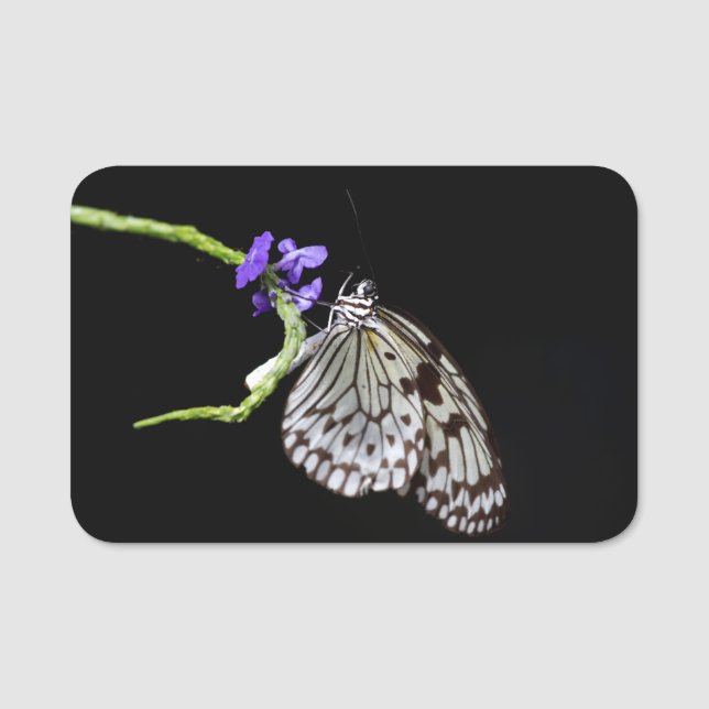 Porte-nom Papillon (Devant)