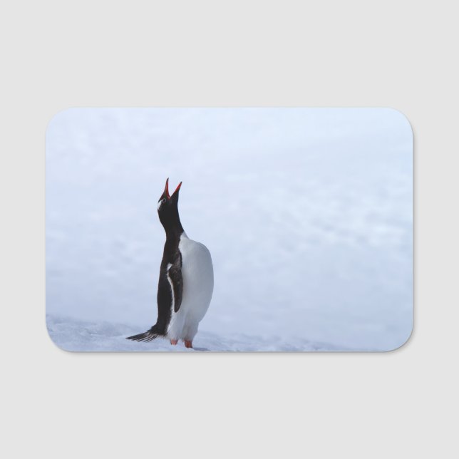 Porte-nom Pingouin Gentoo (Devant)