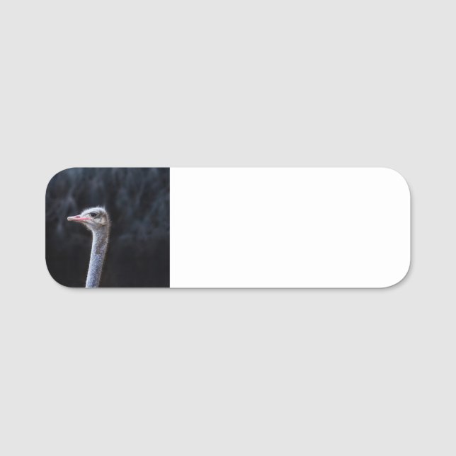 Porte-nom portrait d'autruche (Devant)