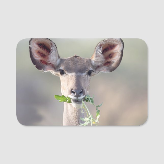 Porte-nom Portrait de Kudu (Devant)