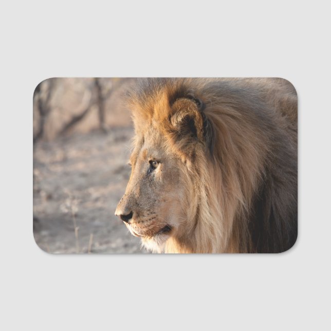 Porte-nom Portrait de Lion (Devant)