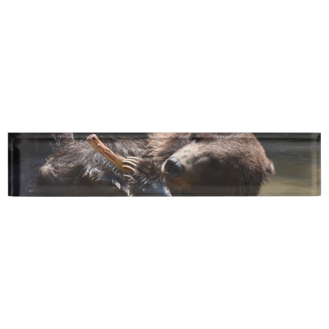 Porte-nom Pour Bureau Beau Ours Brown jouant (Devant)