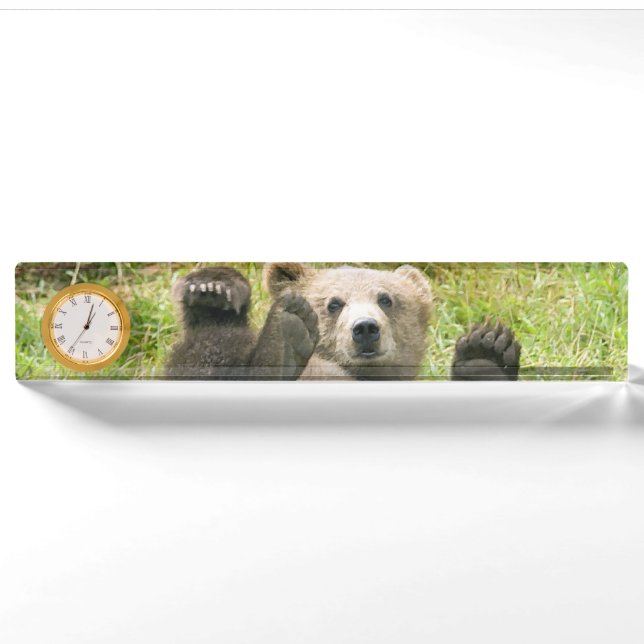 Porte-nom Pour Bureau Cadeaux de l'ours Brown Kodiak (Devant)