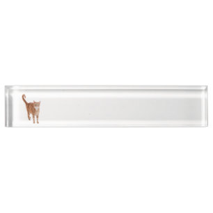 Porte-nom Pour Bureau Chat tigré orange