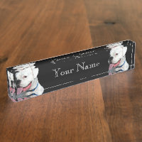 Chien blanc de boxeur