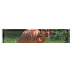 Porte-nom Pour Bureau Flamant rose rose parfait