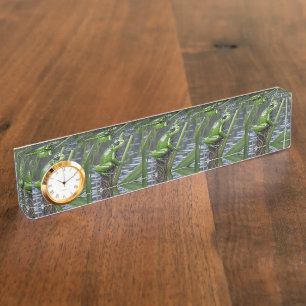 Porte-nom Pour Bureau La Grenouille Verte Sur Les Rèseaux À La Rivière,