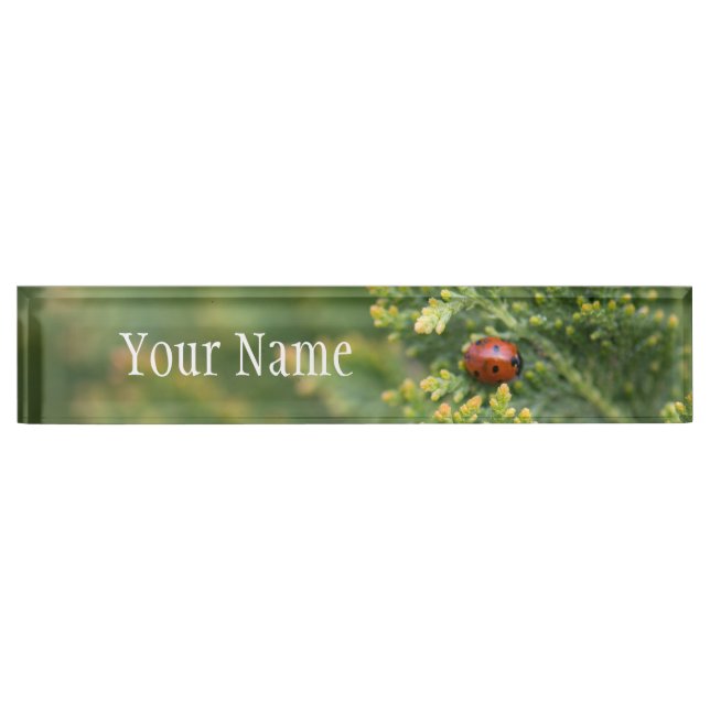 Porte-nom Pour Bureau Ladybug (Devant)