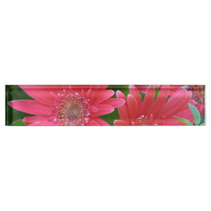 Porte-nom Pour Bureau Marguerite rose de Gerbera