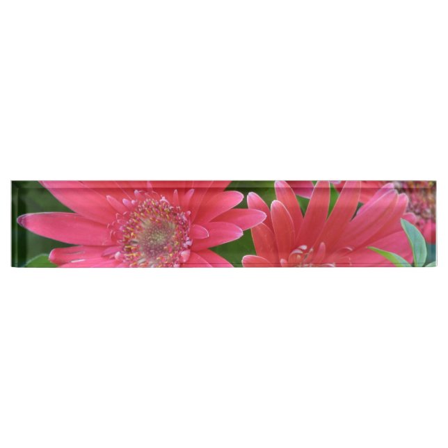 Porte-nom Pour Bureau Marguerite rose de Gerbera (Devant)