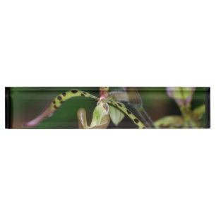 Porte-nom Pour Bureau Orchidée unique