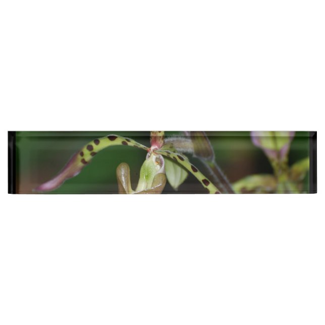 Porte-nom Pour Bureau Orchidée unique (Devant)