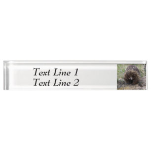Porte-nom Pour Bureau Photo native Australian Wild Echidna