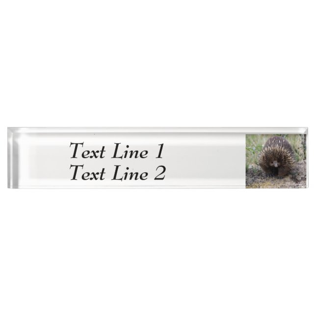 Porte-nom Pour Bureau Photo native Australian Wild Echidna (Devant)