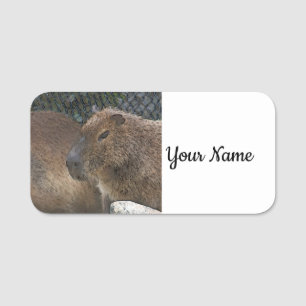 Porte-nom toony Capibarah