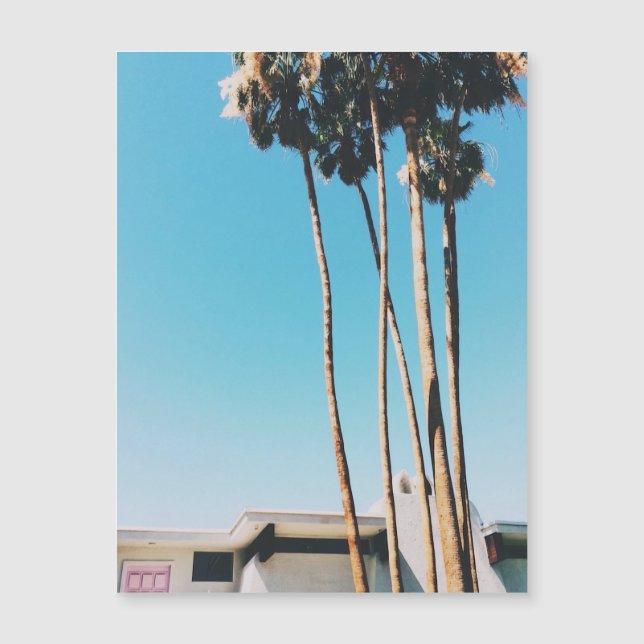 Porte Rose De Palm Springs Magnet (Devant)