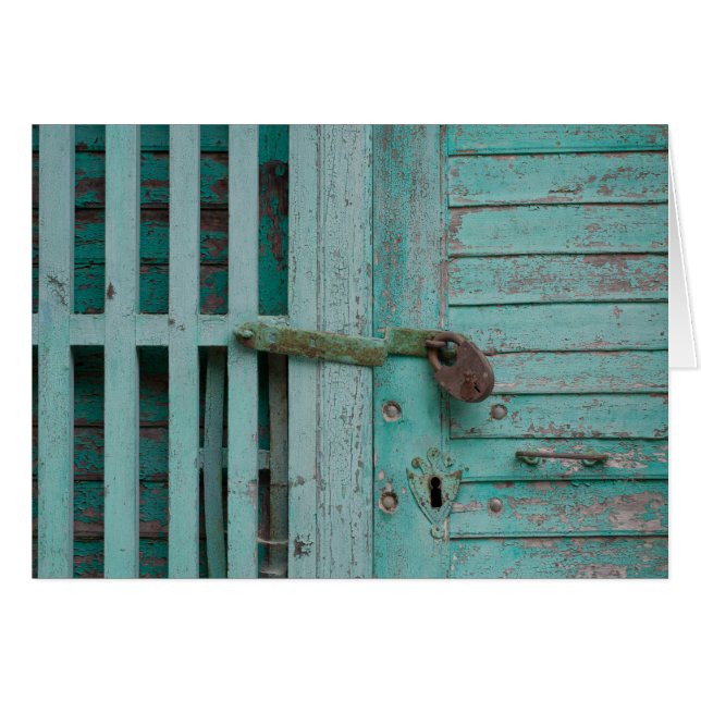 Porte Turquouise patinée (Devant horizontal)