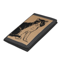 Chaton sur papier brun Beaux-Arts
