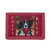 Chien de Terre-Neuve