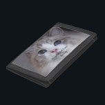 Portefeuille À 3 Volets Photo Personnalisée Pour Animaux De Compagnie Meil<br><div class="desc">Ce design présente une belle photo de chat Ragdoll aux yeux bleus et une typographie noire. Vous pouvez remplacer la photo par une image de votre propre chat ou chaton. L'exemple de texte - Best Ragdoll Ever - peut être modifié en mots de votre choix et un Nom peut également...</div>