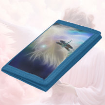 Plume d'ange et libellule