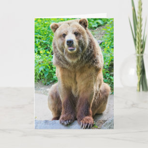 PORTEZ UN HUG GRIZZLY PORTEZ DES CARTES D'ANNIVERS