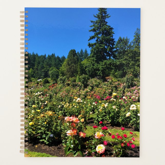Portland Rose Garden (Devant)