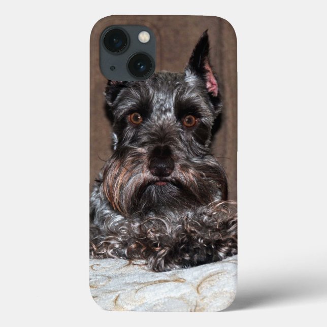 Portrait adorable de Mini Schnauzer sur coque ipad (Verso)