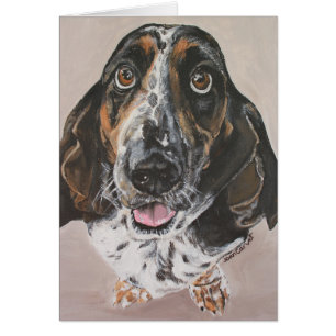 Portrait d'animal familier - Basset Hound