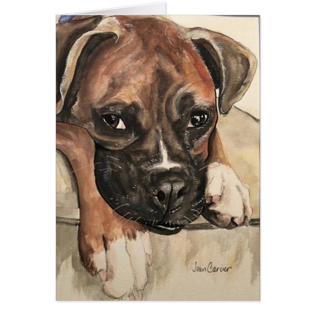 Portrait d'animal familier - boxeur (Devant)