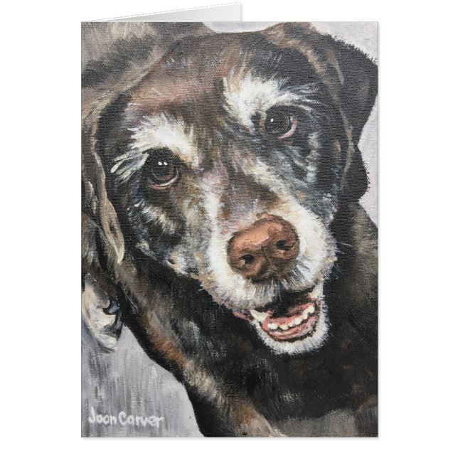 Portrait d'animal familier - laboratoire noir (Devant)