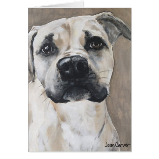 Portrait d'animal familier - mélange d'indicateur