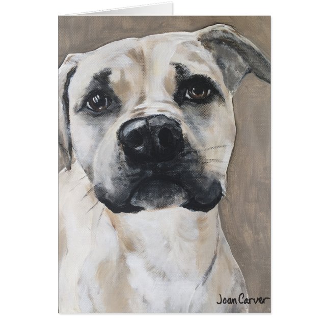 Portrait d'animal familier - mélange d'indicateur (Devant)