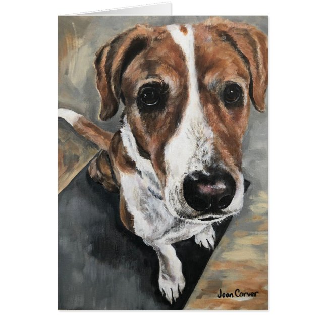 Portrait d'animal familier - race mélangée (Devant)
