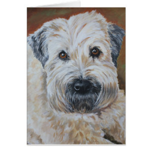 Portrait d'animal familier - Terrier blond comme