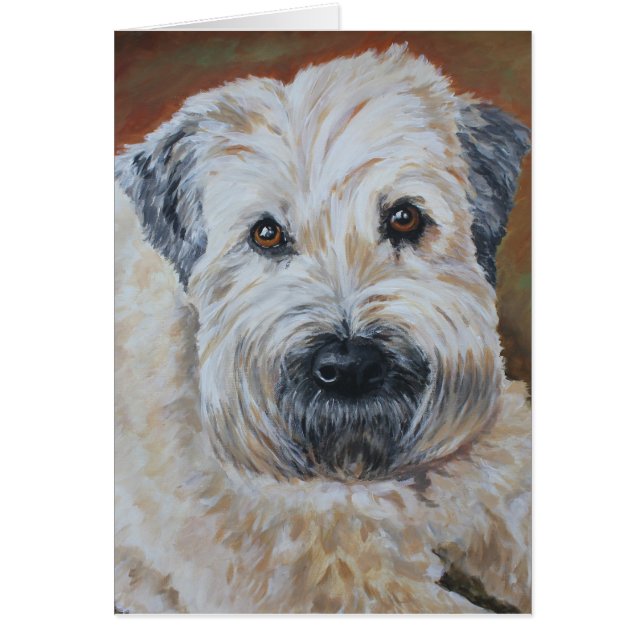 Portrait d'animal familier - Terrier blond comme (Devant)