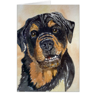 Portrait d'aquarelle de Rotweiler
