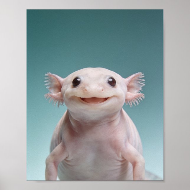 Portrait de bébé Axolotl – Décoration murale d'ani (Devant)