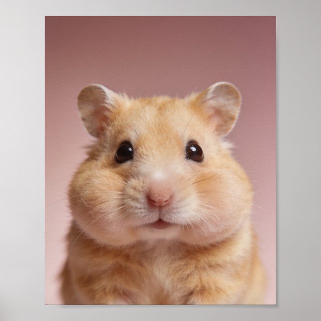 Portrait de bébé hamster – Décoration murale d'ani (Devant)