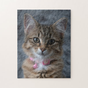 Portrait de chat de chaton cute, puzzle de 252 pi
