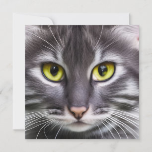 Portrait de chat merveilleux    