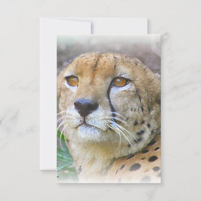 Portrait de Cheetah (Devant)
