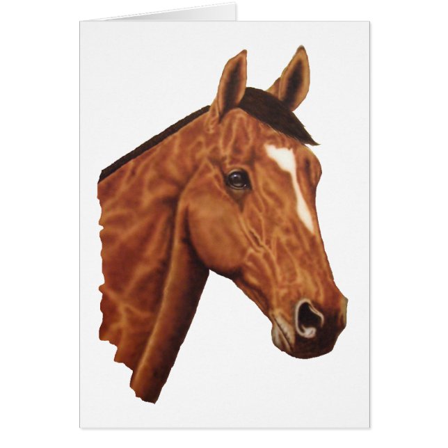 Portrait de cheval (Devant)