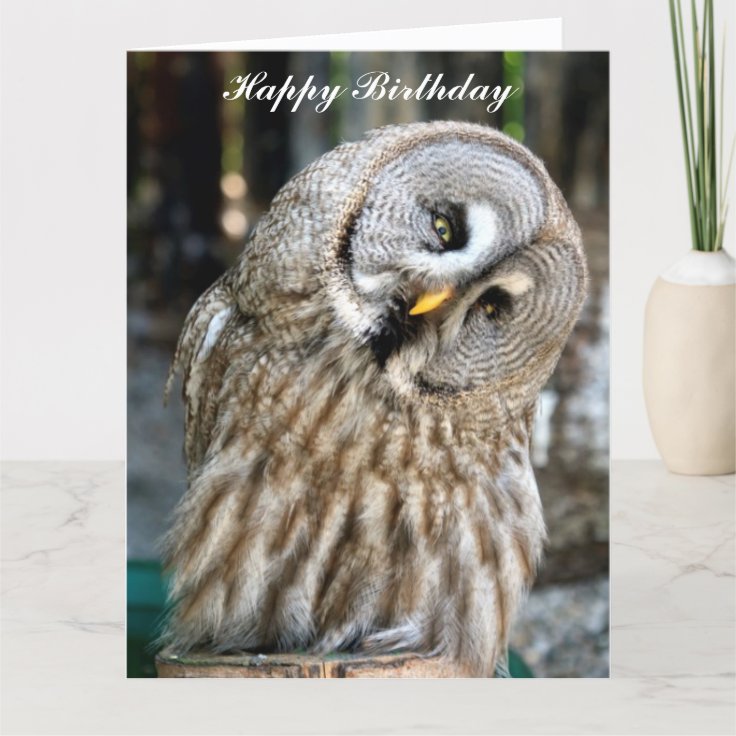 Portrait De Hibou Belle Carte D Anniversaire Perso Zazzle Fr