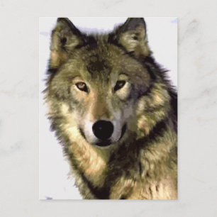 Portrait de la carte postale Wolf