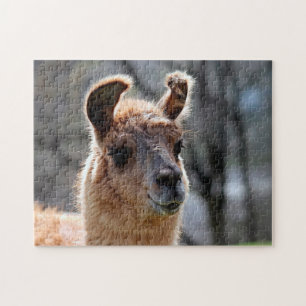 Portrait de Llama, puzzle