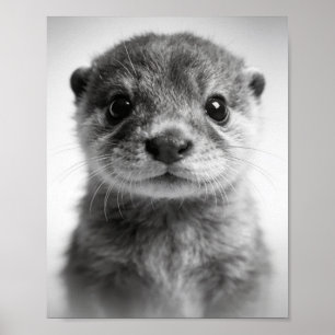 Portrait de loutre bébé Art mural douce pour la nu
