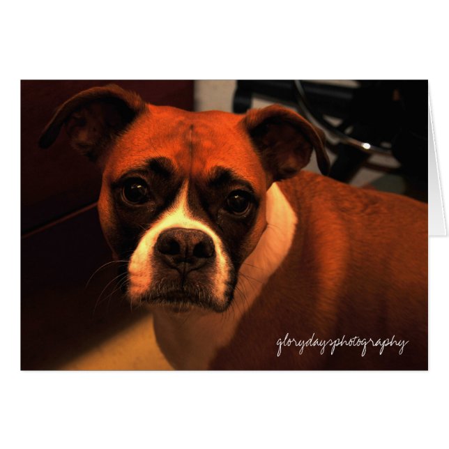 Portrait de Lucie Monroe (Devant horizontal)