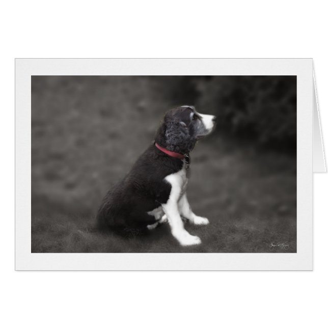 Portrait de Mabel No 1 (Devant horizontal)